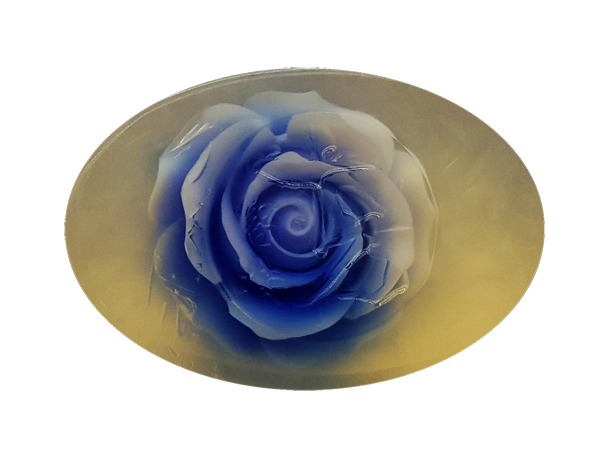 海 馬 玫 瑰 3