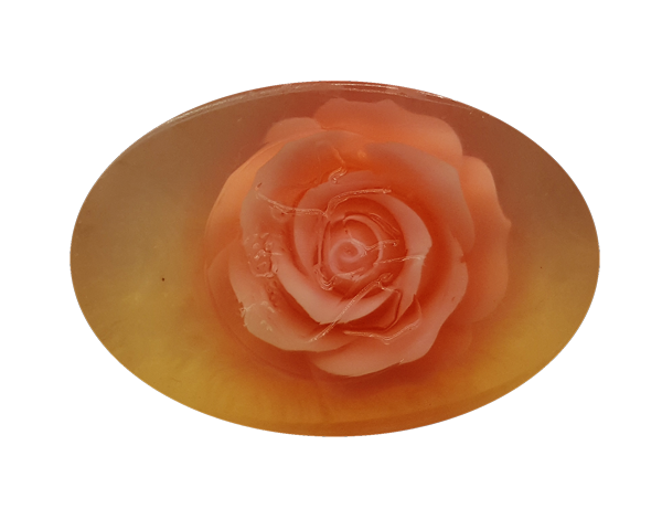 海 馬 玫 瑰 2